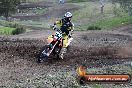 Champions Ride Day MotorX Broadford 05 10 2014 - SH5_6156