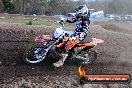 Champions Ride Day MotorX Broadford 05 10 2014 - SH5_6179