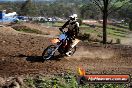 Champions Ride Day MotorX Broadford 05 10 2014 - SH5_6247