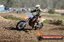 Champions Ride Day MotorX Broadford 05 10 2014 - SH5_6352