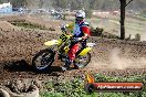 Champions Ride Day MotorX Broadford 05 10 2014 - SH5_6361