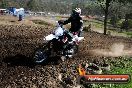 Champions Ride Day MotorX Broadford 05 10 2014 - SH5_6408