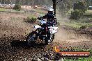 Champions Ride Day MotorX Broadford 05 10 2014 - SH5_6440