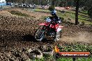 Champions Ride Day MotorX Broadford 05 10 2014 - SH5_6570