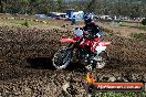 Champions Ride Day MotorX Broadford 05 10 2014 - SH5_6573
