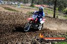 Champions Ride Day MotorX Broadford 05 10 2014 - SH5_6590