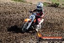 Champions Ride Day MotorX Broadford 05 10 2014 - SH5_6603