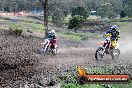 Champions Ride Day MotorX Broadford 05 10 2014 - SH5_6673