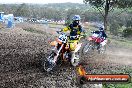 Champions Ride Day MotorX Broadford 05 10 2014 - SH5_6678
