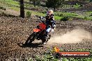 Champions Ride Day MotorX Broadford 05 10 2014 - SH5_6691