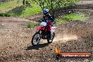 Champions Ride Day MotorX Broadford 05 10 2014 - SH5_6735