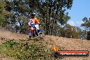 Champions Ride Day MotorX Broadford 05 10 2014 - SH5_6950