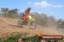 Champions Ride Day MotorX Broadford 05 10 2014 - SH5_7212