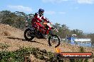 Champions Ride Day MotorX Broadford 05 10 2014 - SH5_7328