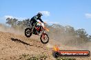 Champions Ride Day MotorX Broadford 05 10 2014 - SH5_7567