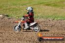 Champions Ride Day MotorX Broadford 05 10 2014 - SH5_7839
