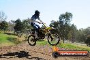 Champions Ride Day MotorX Broadford 05 10 2014 - SH5_8042