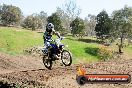 Champions Ride Day MotorX Broadford 05 10 2014 - SH5_8054