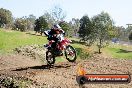 Champions Ride Day MotorX Broadford 05 10 2014 - SH5_8070