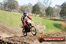 Champions Ride Day MotorX Broadford 05 10 2014 - SH5_8193