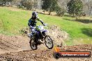 Champions Ride Day MotorX Broadford 05 10 2014 - SH5_8238