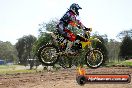 Champions Ride Day MotorX Broadford 05 10 2014 - SH5_8307