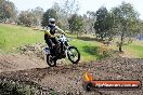 Champions Ride Day MotorX Broadford 05 10 2014 - SH5_8349