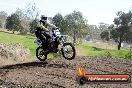 Champions Ride Day MotorX Broadford 05 10 2014 - SH5_8350