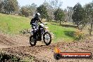 Champions Ride Day MotorX Broadford 05 10 2014 - SH5_8357
