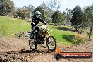 Champions Ride Day MotorX Broadford 05 10 2014 - SH5_8391