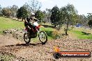 Champions Ride Day MotorX Broadford 05 10 2014 - SH5_8405