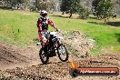 Champions Ride Day MotorX Broadford 05 10 2014 - SH5_8417