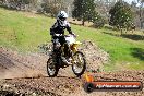 Champions Ride Day MotorX Broadford 05 10 2014 - SH5_8441