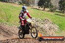 Champions Ride Day MotorX Broadford 05 10 2014 - SH5_8451