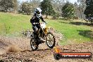Champions Ride Day MotorX Broadford 05 10 2014 - SH5_8506
