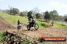 Champions Ride Day MotorX Broadford 05 10 2014 - SH5_8591