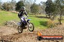 Champions Ride Day MotorX Broadford 05 10 2014 - SH5_8612