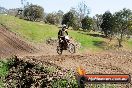 Champions Ride Day MotorX Broadford 05 10 2014 - SH5_8647