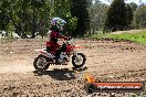 Champions Ride Day MotorX Broadford 05 10 2014 - SH5_8760