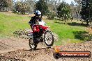 Champions Ride Day MotorX Broadford 05 10 2014 - SH5_8773