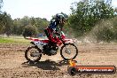 Champions Ride Day MotorX Broadford 05 10 2014 - SH5_8795