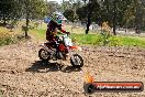 Champions Ride Day MotorX Broadford 05 10 2014 - SH5_8800