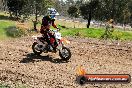 Champions Ride Day MotorX Broadford 05 10 2014 - SH5_8823