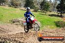 Champions Ride Day MotorX Broadford 05 10 2014 - SH5_8834