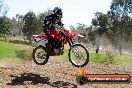 Champions Ride Day MotorX Broadford 05 10 2014 - SH5_8870
