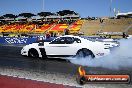 APSA Finals Sydney Dragway 29 11 2014 - 20141129-JC-SD-APSA-0070