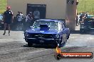 APSA Finals Sydney Dragway 29 11 2014 - 20141129-JC-SD-APSA-0316