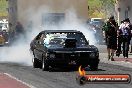 APSA Finals Sydney Dragway 29 11 2014 - 20141129-JC-SD-APSA-1362