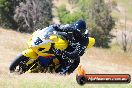 Champions Ride Day Broadford 2 of 2 parts 03 11 2014 - SH7_6878