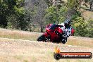 Champions Ride Day Broadford 2 of 2 parts 03 11 2014 - SH7_7530